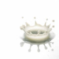 インポッシブルフーズが開発中の代替ミルク・Impossible Milkを発表、2021年に研究チーム倍増へ
