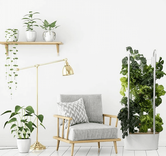 自宅を農家にする室内農業のGardynが約10億円を調達 | Foovo -フード