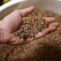 ビールの醸造で発生する廃棄大麦をアップサイクルするReGrainedとは