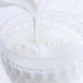 牛乳の全成分を含んだ培養ミルクを開発するカナダ企業Opalia
