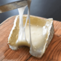 精密発酵でアニマルフリーなチーズを作るNutropyが約2.8億円を調達