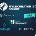 スペイン乳業メーカー、代替乳製品開発に向けた「Mylkcubator」第2コホートを発表