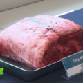 TissenBioFarmが韓国初の細胞農業支援センターで10Kgの培養肉プロトタイプを発表