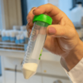 【創業者インタビュー】精密発酵でヒト母乳タンパク質を開発するPFx Biotech｜健康と栄養に役立つ高価値タンパク質の創出