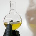 精密発酵で代替パーム油を開発するC16 Biosciencesが約5.1億円を調達、食品事業を強化