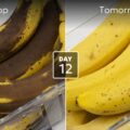 フードロス対策の次世代冷蔵庫「Tomorrow Fridge」、市場投入ならず｜米スタートアップが事業継続を断念