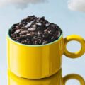 豆タイプの代替コーヒーを開発するベルギー企業Koppieが資金調達