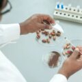 チョコレート大手のBarry Callebaut、培養カカオに参入──温度差も見える大手各社の姿勢