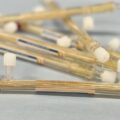 米EdiMembre、ホールカット細胞性食品の開発に向け、可食中空糸式バイオリアクターを開発｜約5,800万円のプレシード資金を調達