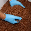 代替カカオのForeverlandが約11億円を調達｜イタリア・フランスでの販売進む