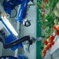 Oishii Farmが約240億円を調達、植物工場パッケージの海外展開へ