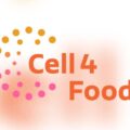 細胞性タコのポルトガル企業Cell4Foodが閉鎖|「技術が失敗したのではなく、もっと時間が必要だった」