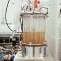 植物細胞培養のAyana Bioが菌糸体スタートアップMeati Foodsの30万L設備を取得｜Zenfoldと共にインドでスケールアップへ